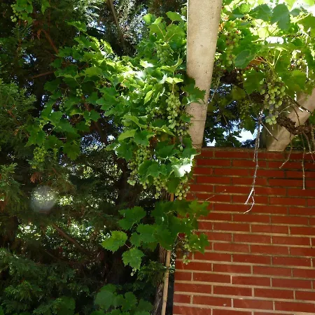 Chalet En * Laguardia